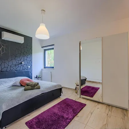 Pet Friendly In Novigrad *