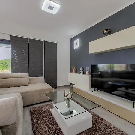 Pet Friendly In Novigrad Novigrad Istria