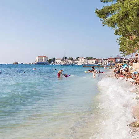 Feriehus Pet Friendly In Novigrad *